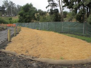 A fenced area with straw covering the ground, surrounded by trees and soil berms.