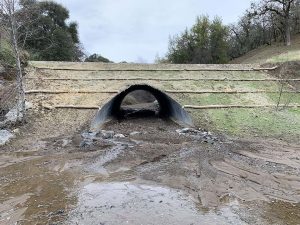 A round concrete culvert under a grassy slope, with muddy water and rocks in the foreground.
