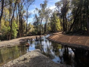 A calm creek flows through a wooded area with trees and sunlight reflecting on the water.