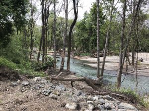 A calm river flows through a forested area with trees and rocks along the banks.