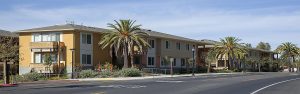 Modern two-story apartment buildings with palm trees lining a quiet street under a clear blue sky.