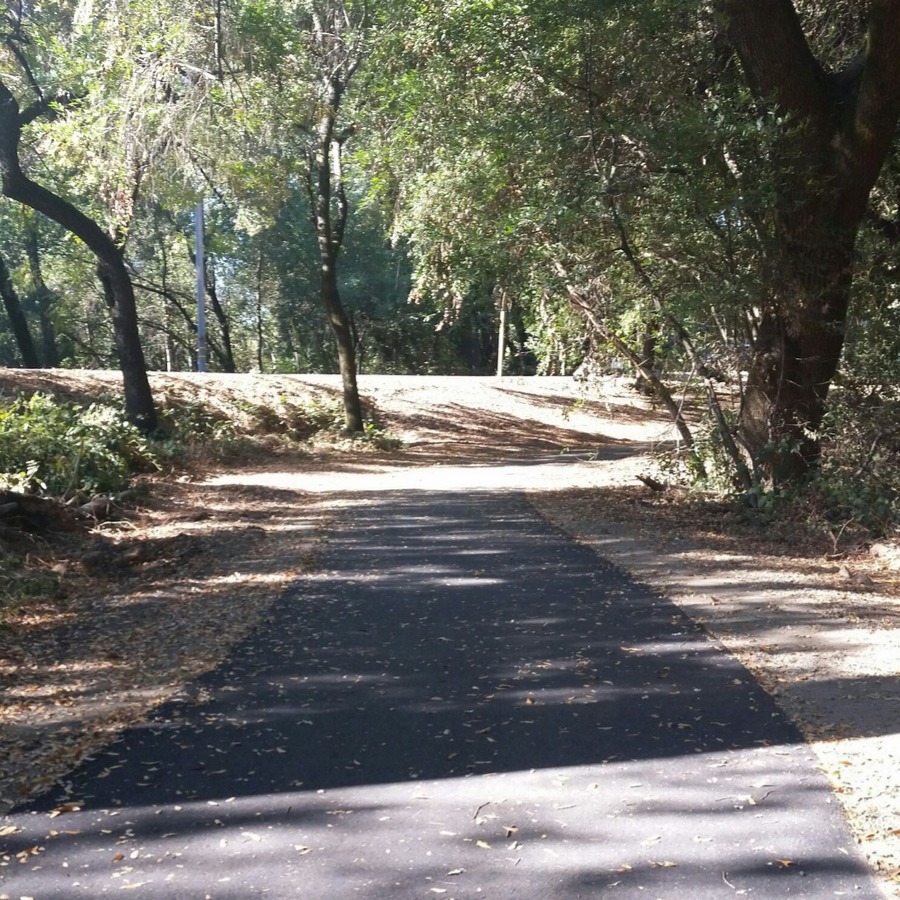 A paved trail winds through a sunlit, wooded area with trees and scattered leaves.