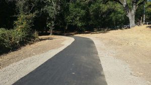 A newly paved path curves through a dry, wooded park area with trees and scattered sunlight.