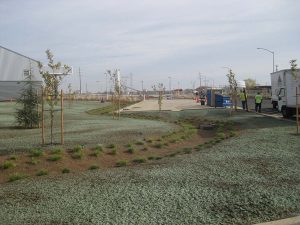 A landscaped area with young trees, mulch, and workers near a parking lot and industrial buildings.