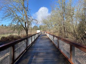 Wooden pedestrian bridge with metal railings, lined by leafless trees under a bright blue sky.