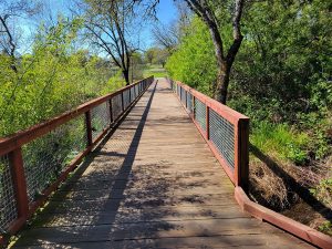 Wooden footbridge with red railings surrounded by green trees on a sunny day.