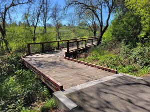 Wooden footbridge surrounded by green trees and plants on a sunny day.