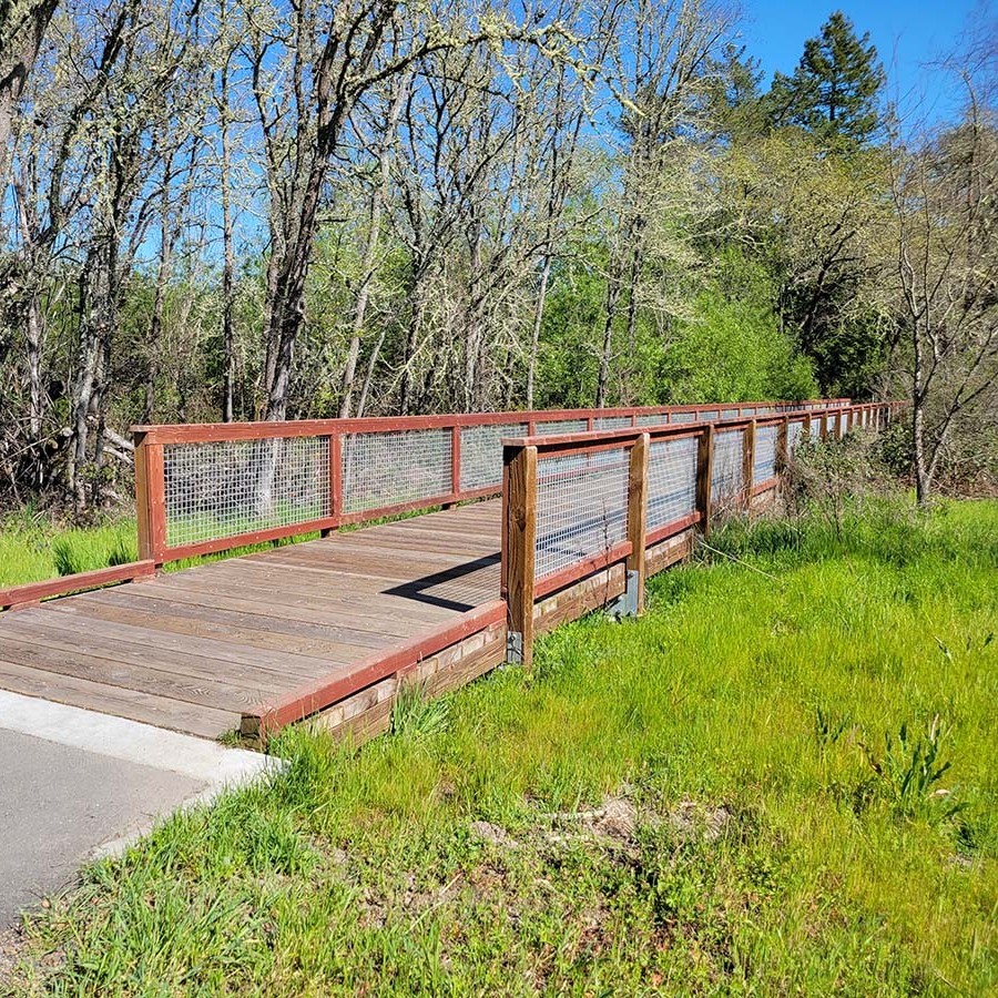 Wooden footbridge with railings crosses through green grass and trees under a clear blue sky.
