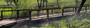 Wooden footbridge with a wire railing in a green, sunlit landscape with trees and vineyards in the background.