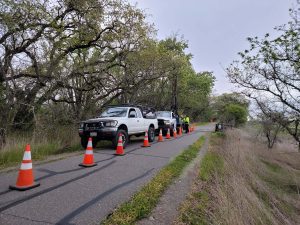 Two white trucks parked on a narrow road lined with orange traffic cones and trees.