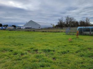 Large grassy field with a fenced area, trees, and a large white building under a cloudy sky.