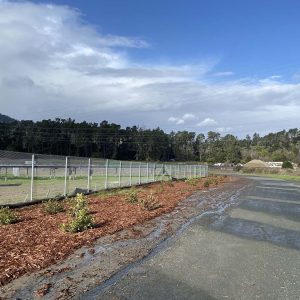 A paved path beside a mulched area with young plants, wire fence, and trees under a partly cloudy sky.