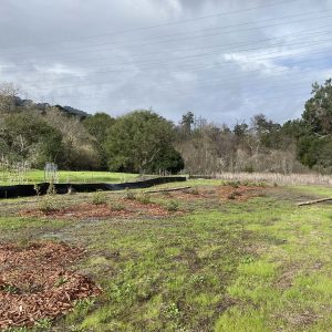 A grassy field with patches of mulch, trees in the background, and power lines overhead under a cloudy sky.