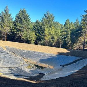 A lined, empty pond with a small water puddle, surrounded by trees under a clear blue sky.