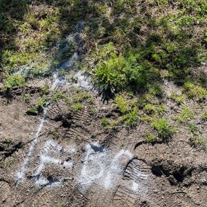 White arrow and EXIT marked on dirt ground with grass, next to footprints in sunlight.