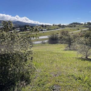 Sunny rural landscape with green hills, trees, and a road winding through the scene under a blue sky.