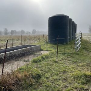 Four large black water tanks stand near a fence in a grassy field on a foggy day.