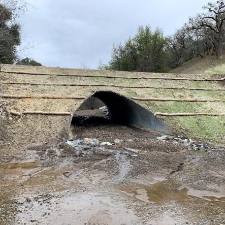 A small arched bridge crosses a shallow creek, surrounded by grass and trees on a cloudy day.